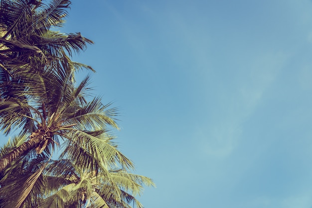 Free Photo low angle beautiful coconut palm tree with blue sky background