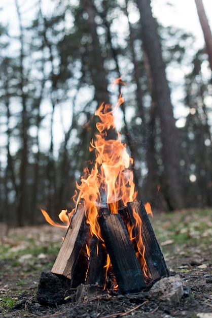 Low angle bonfire with flames