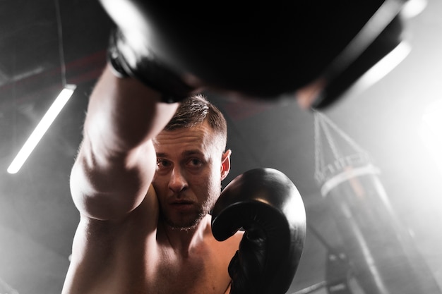 Low angle boxer with black gloves training