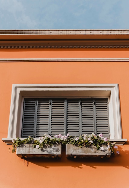 Low angle of building window in the city