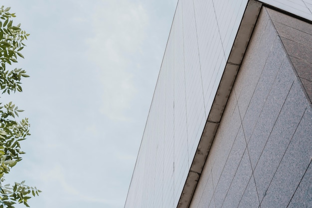 Low angle of concrete building in the city