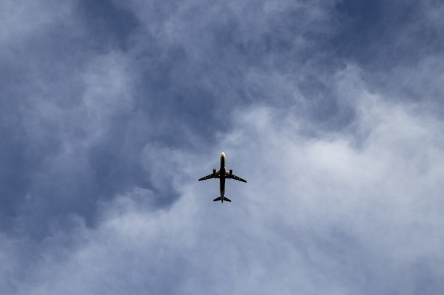 Low angle shot of an airplane during flight