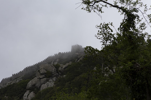 Low angle shot of a beautiful castle on a foggy cliff over the trees