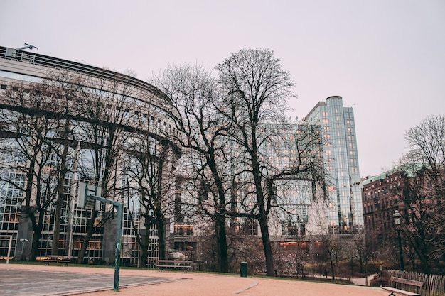 Low angle shot of the Brussels European parliament's park