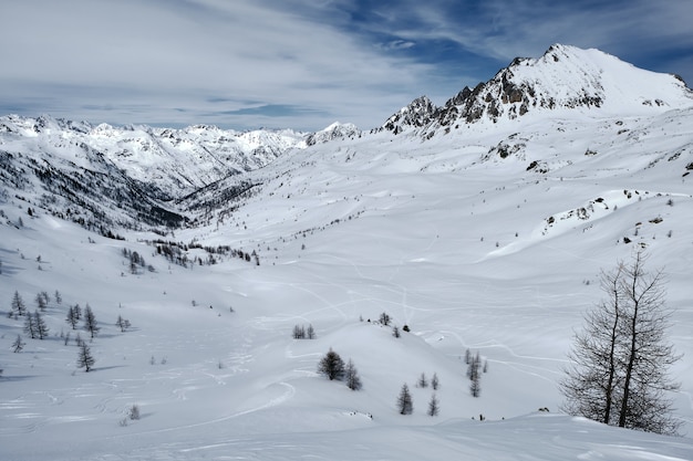 Free photo low angle shot of a forested mountain covered in snow and paths under a blue sky