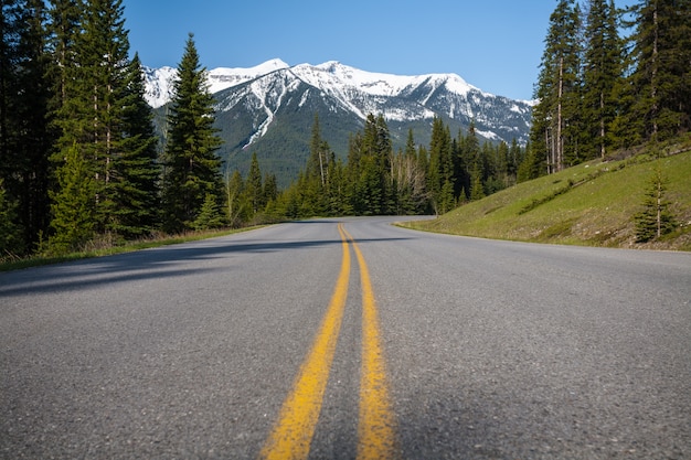 Free photo low angle shot of a highway surrounded by a forest and the snowy mountains