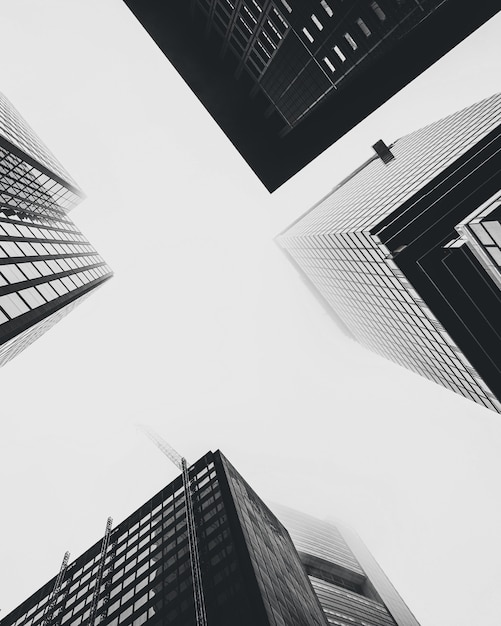 Free Photo low angle shot of modern glass city buildings