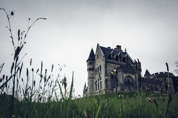 Free Photo low angle shot of an old beautiful castle on a grassy hill