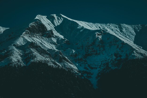 Low angle shot of snow covered mountain peaks with alpine trees  at sunrise