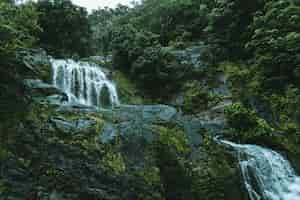 Free photo low angle shot of a waterfall in the middle of a green forest