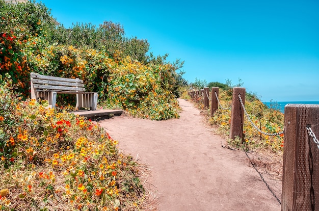 Free Photo low angle shot of a wooden bench surrounded with blooming flowers under a clear blue sky