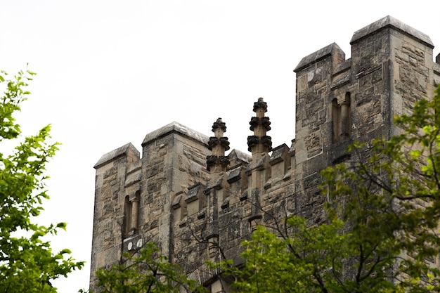 Free Photo low angle stone castle with trees