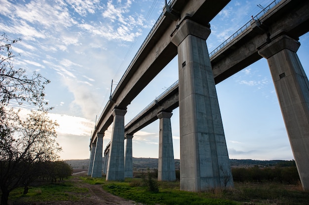 Free Photo low angle view of a concrete bridge surrounded by greenery under sunlight