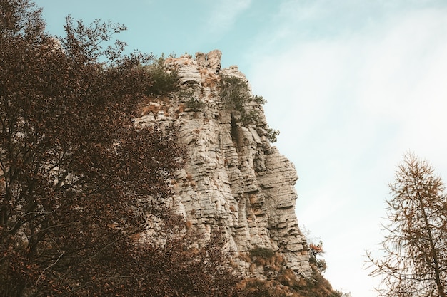 Free photo low angle view of a high rocky mountain surrounded by trees under the blue sky during daylight