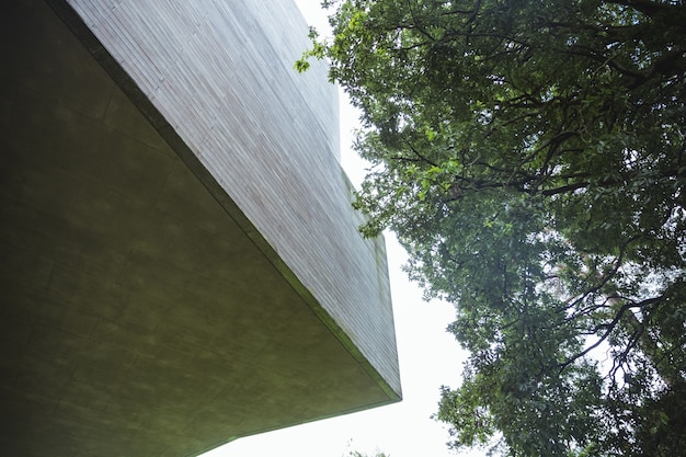 Free photo low angle view of a tree and building exterior