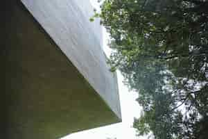 Free photo low angle view of a tree and building exterior