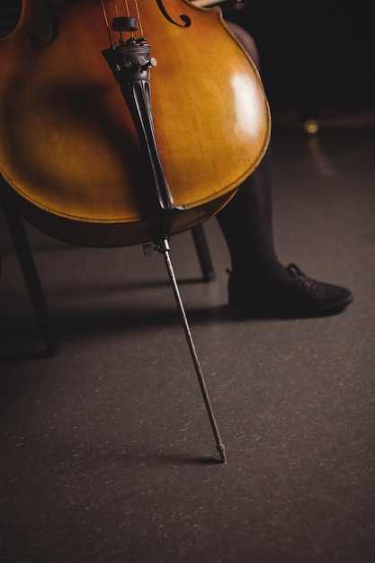 Free photo low section of female student with double bass