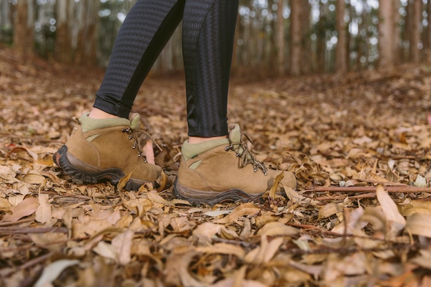 Free photo low section view of woman standing on dry leaves