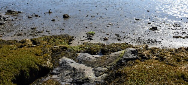 Low Tide Along the Coast of the Atlantic