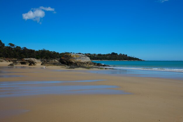 low tide