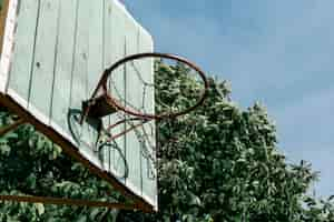 Free photo low view basketball hoop