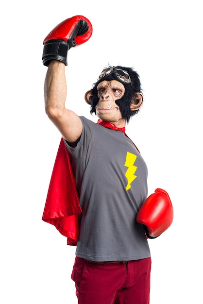 Lucky superhero monkey man with boxing gloves