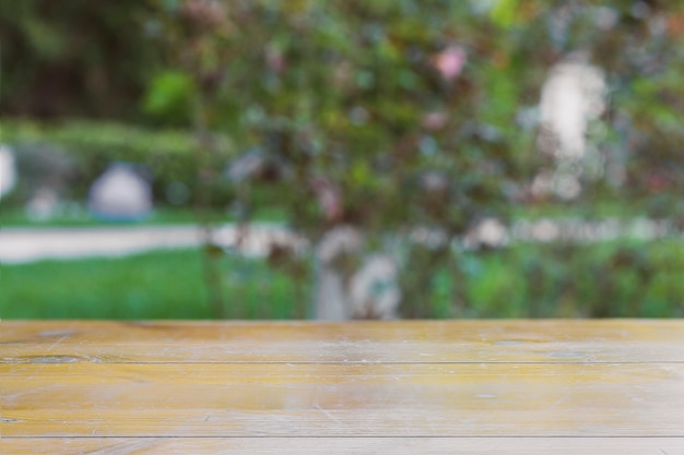 Lumber table in park