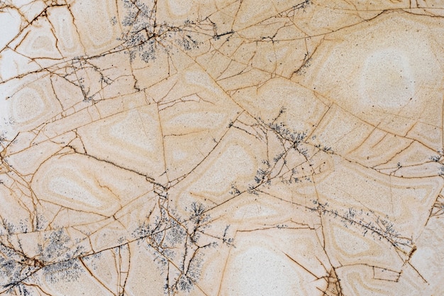 Free photo luxury marble texture wallpaper