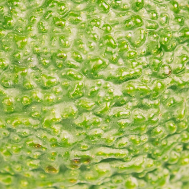 Free photo macro avocado texture