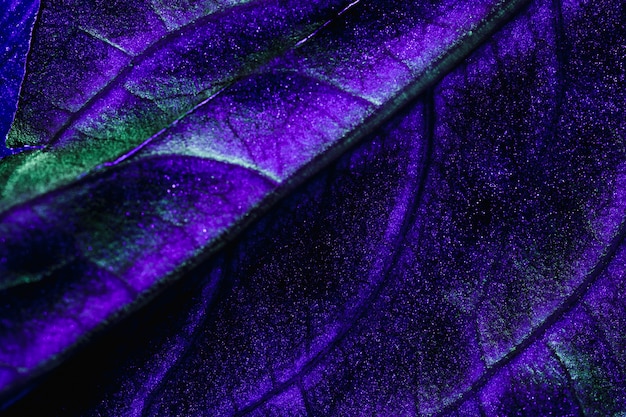 Free Photo macro of a blue leaf