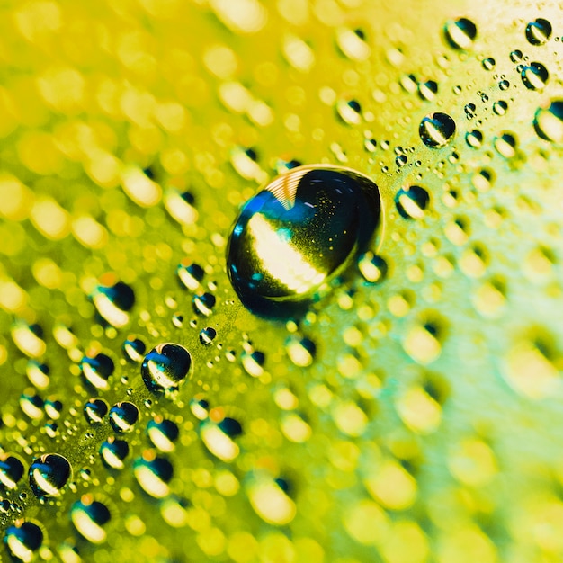 Free photo macro detail of dew water droplet on yellow shinning bokeh background