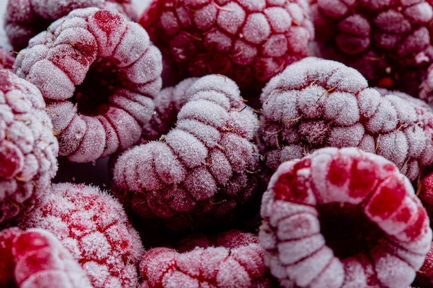 Macro frozen fruits arrangement