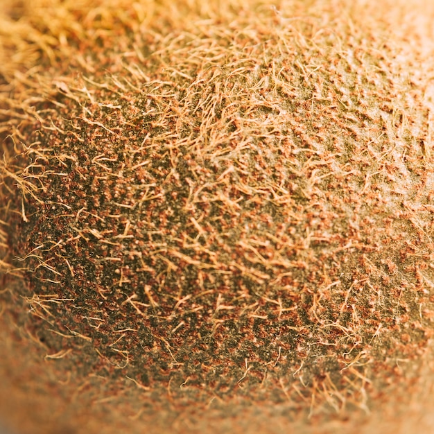 Free Photo macro kiwi texture