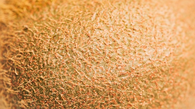 Macro kiwi texture