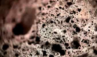 Free photo macro photograph of a piece of porous rock with texture