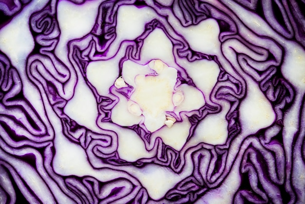 Free photo macro shot of cut red cabbage