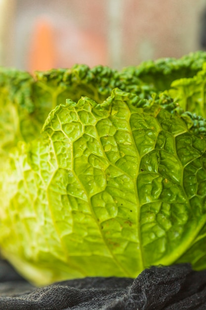 Free photo macro shot of fresh green chinese cabbage leaves