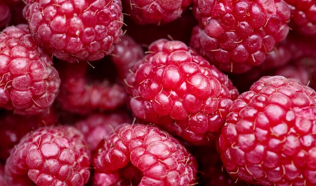 Macro shot of red raspberry background