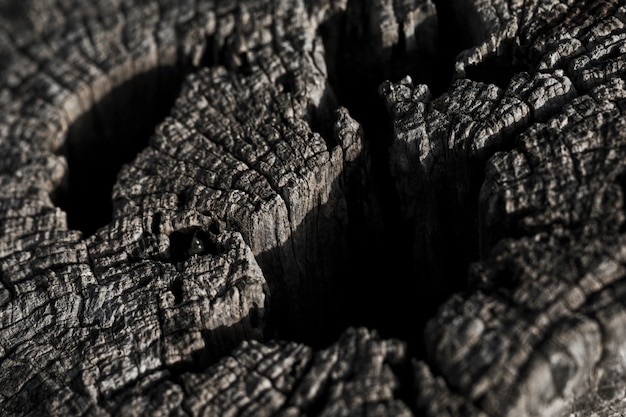 Free photo macro shot of wooden texture