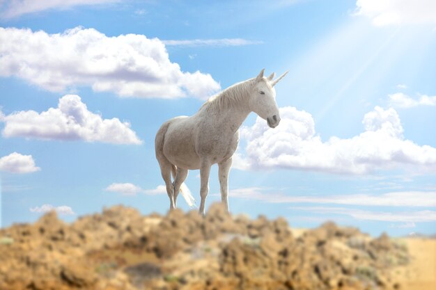 Magnificent unicorn in nature