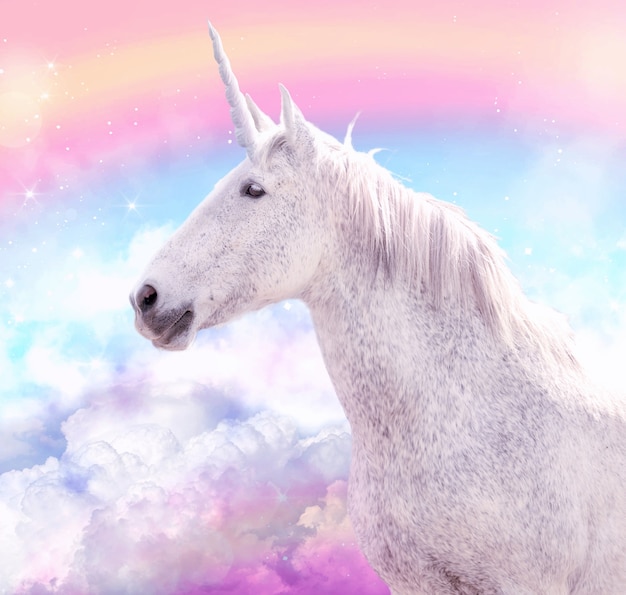 Magnificent unicorn in nature