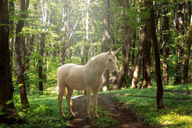 Magnificent unicorn in nature