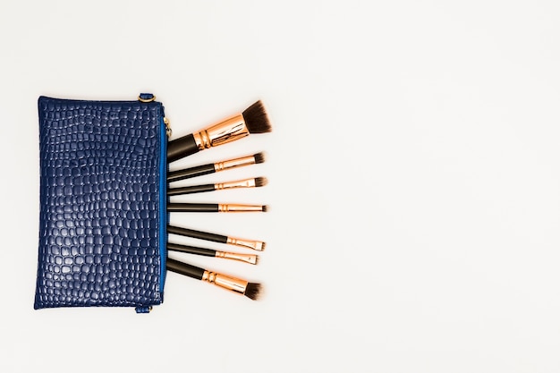 Makeup brushes in the blue bag on white background