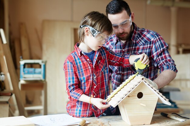 Making starling-house