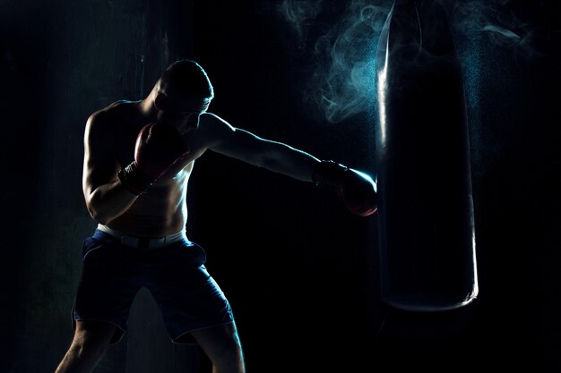 Male boxer boxing in punching bag