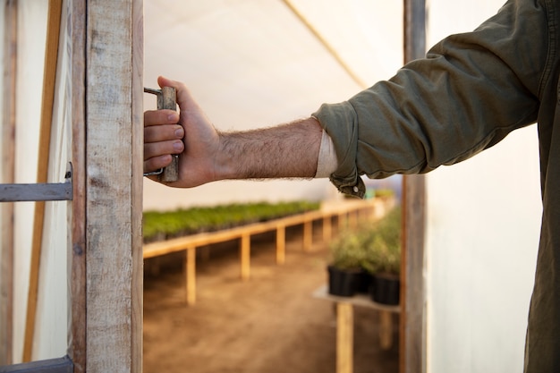 Free photo male farmer in the greenhouse at his farm