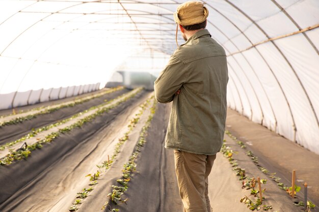 Male farmer inspecting plant crops at his farm