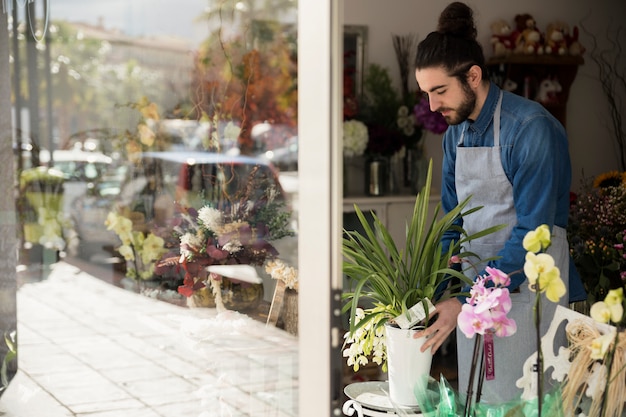 Free photo male florist arranging the flower pot in his shop