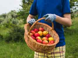 Free photo a male gardener holding basket with organic red apple