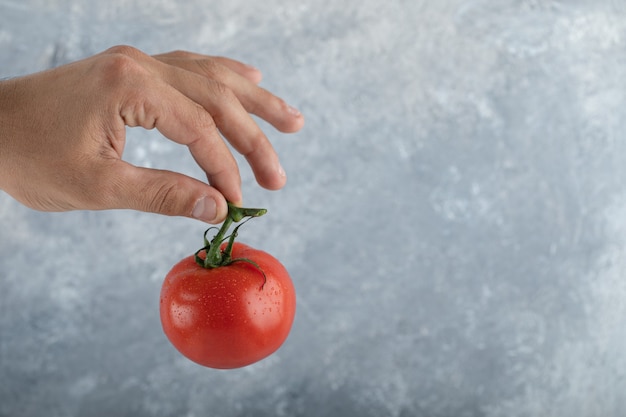 Free photo male hand holding fresh red tomato on air.